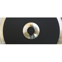 SG1 Stainless Steel Record Clamp