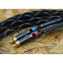 Anticipation Analog Cable RCA 1 м